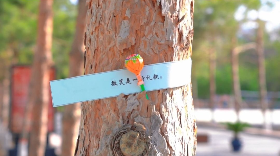 mmexport1651481456319.jpg 图片