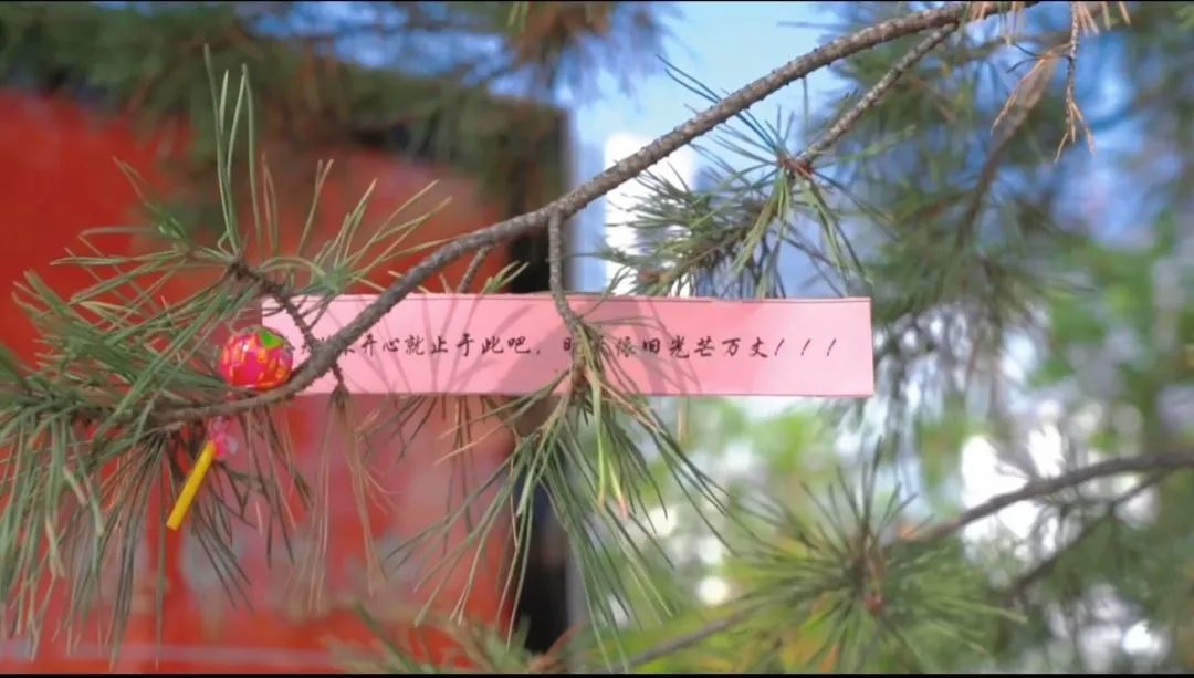 mmexport1651481469893.jpg 图片